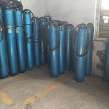  山東省莘縣九州微型泵廠 主營 微型深井泵