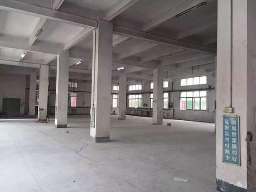 菏澤專業廠房驗廠檢測鑒定報告與電腦圖文設計服務